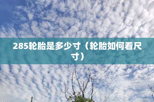 285轮胎是多少寸（轮胎如何看尺寸）