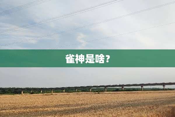 雀神是啥？