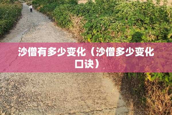 沙僧有多少变化（沙僧多少变化口诀）