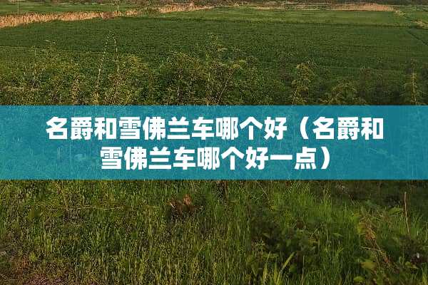 名爵和雪佛兰车哪个好（名爵和雪佛兰车哪个好一点）