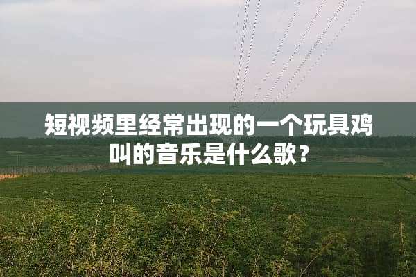 短视频里经常出现的一个玩具鸡叫的音乐是什么歌？
