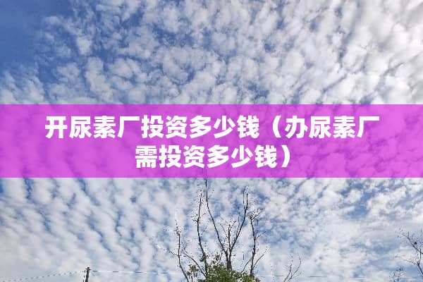 开尿素厂投资多少钱（办尿素厂需投资多少钱）