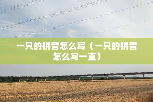一只的拼音怎么写（一只的拼音怎么写一直）