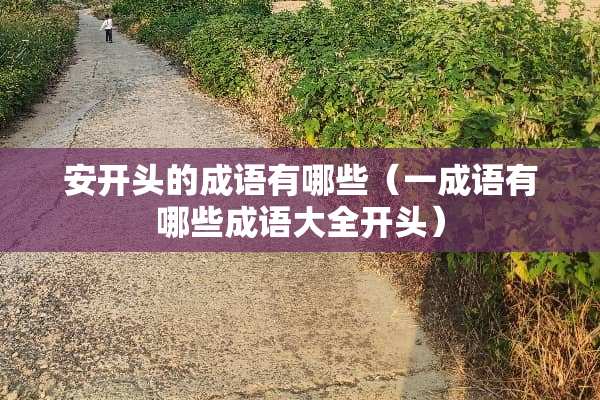 安开头的成语有哪些（一成语有哪些成语大全开头）