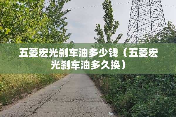 五菱宏光刹车油多少钱（五菱宏光刹车油多久换）