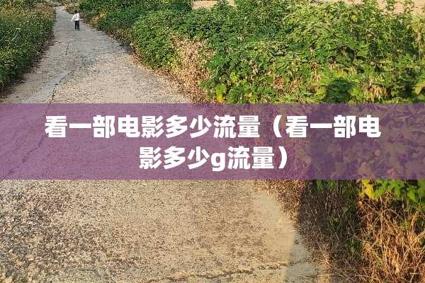看一部电影多少流量（看一部电影多少g流量）