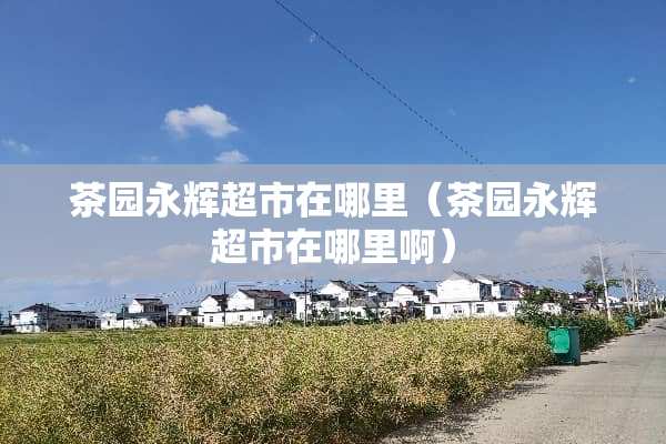 茶园永辉超市在哪里（茶园永辉超市在哪里啊）