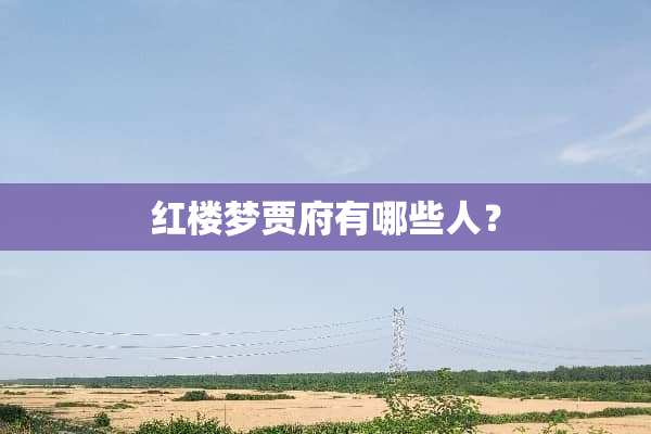 红楼梦贾府有哪些人？
