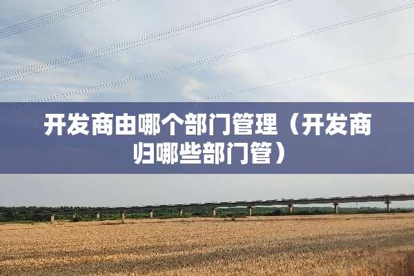 开发商由哪个部门管理（开发商归哪些部门管）