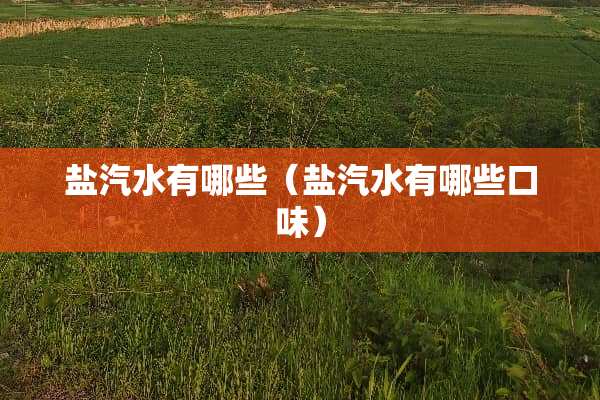 盐汽水有哪些（盐汽水有哪些口味）