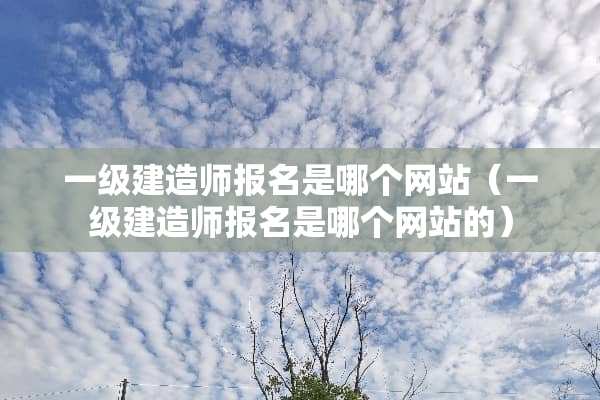 一级建造师报名是哪个网站（一级建造师报名是哪个网站的）