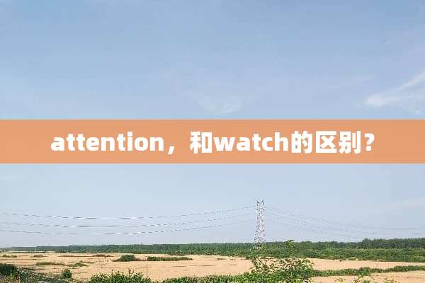 attention，和watch的区别？