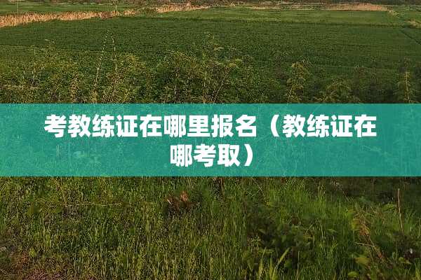 考教练证在哪里报名（教练证在哪考取）
