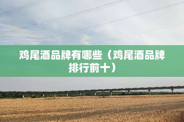 ***品牌有哪些（***品牌排行前十）