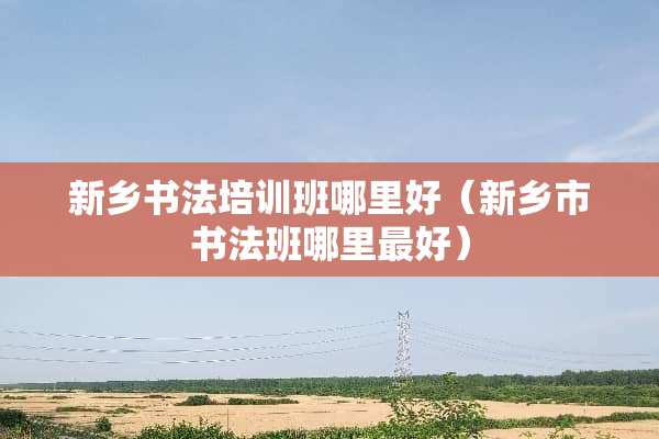 新乡书法培训班哪里好（新乡市书法班哪里最好）