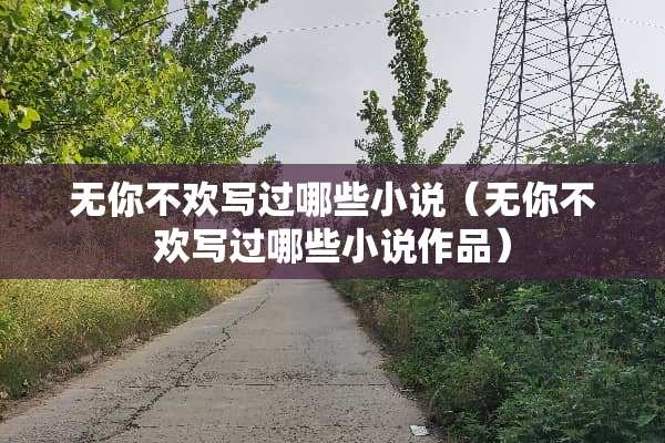 无你不欢写过哪些小说（无你不欢写过哪些小说作品）