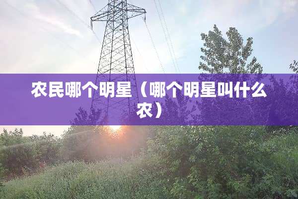 农民哪个明星（哪个明星叫什么农）