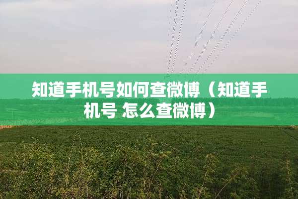 知道手机号如何查微博（知道手机号 怎么查微博）