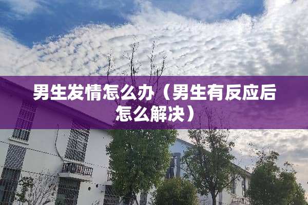 男生**怎么办（男生有反应后怎么解决）