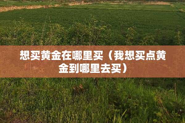 想买黄金在哪里买（我想买点黄金到哪里去买）