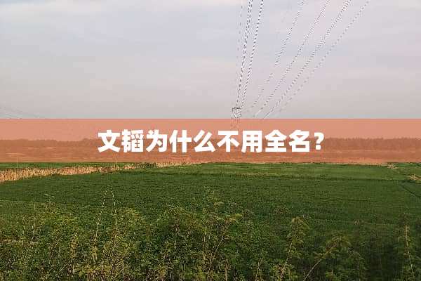 文韬为什么不用全名？