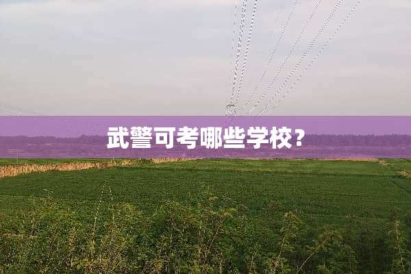 **可考哪些学校？