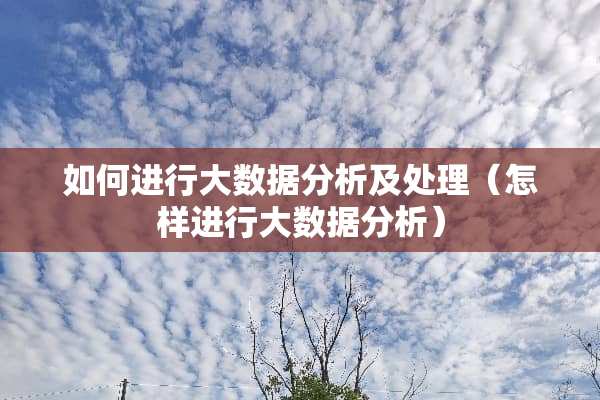 如何进行大数据分析及处理（怎样进行大数据分析）