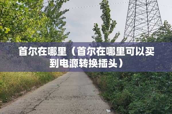 首尔在哪里（首尔在哪里可以买到电源转换插头）