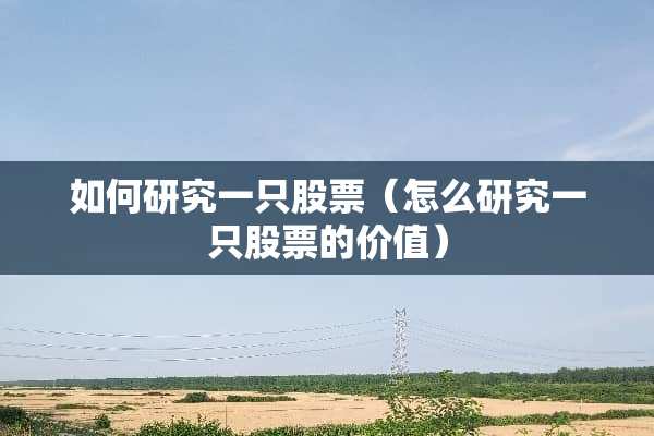 如何研究一只股票（怎么研究一只股票的价值）