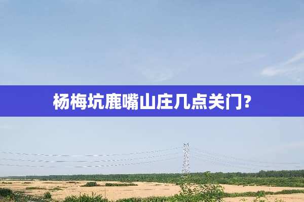 杨梅坑鹿嘴山庄几点关门？