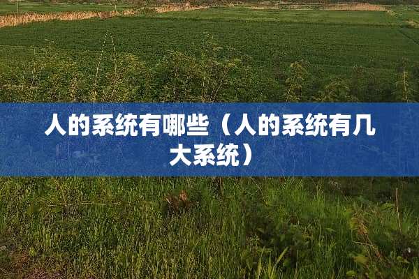 人的系统有哪些（人的系统有几大系统）