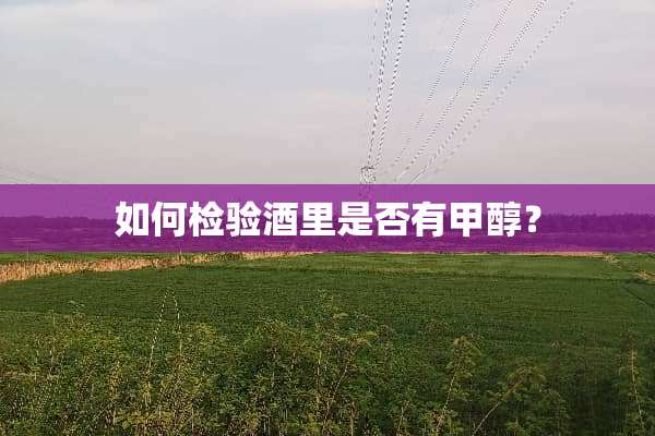 如何检验酒里是否有甲醇？