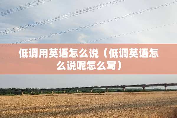 低调用英语怎么说（低调英语怎么说呢怎么写）