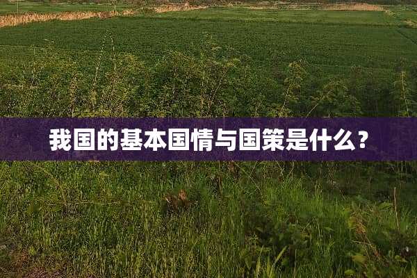 我国的基本国情与国策是什么？