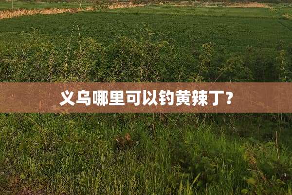 义乌哪里可以钓黄辣丁？