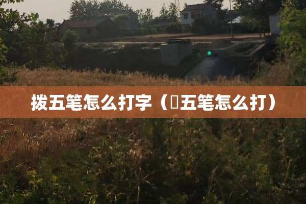 拨五笔怎么打字（仠五笔怎么打）