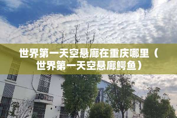 世界第一天空悬廊在重庆哪里（世界第一天空悬廊鳄鱼）