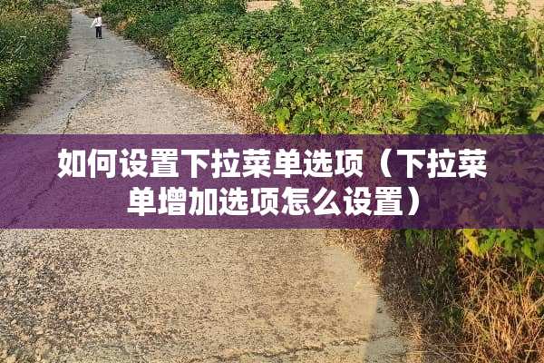 如何设置下拉菜单选项（下拉菜单增加选项怎么设置）