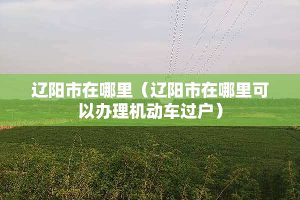 辽阳市在哪里（辽阳市在哪里可以办理机动车过户）