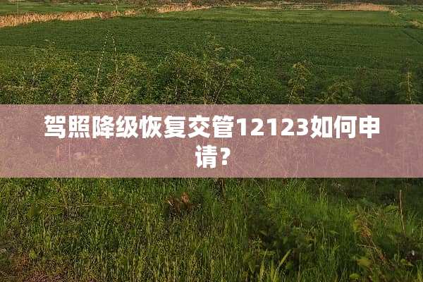 驾照降级恢复交管12123如何申请？