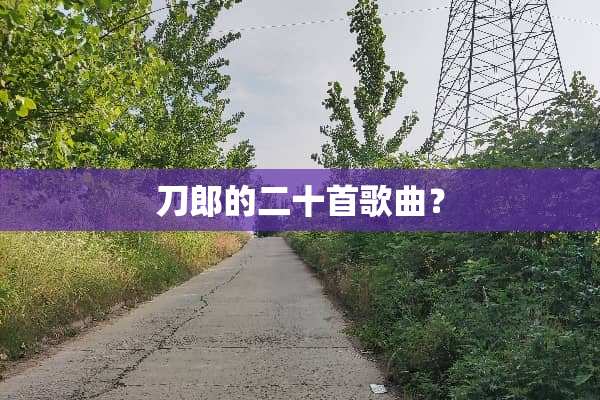 刀郎的二十首歌曲？