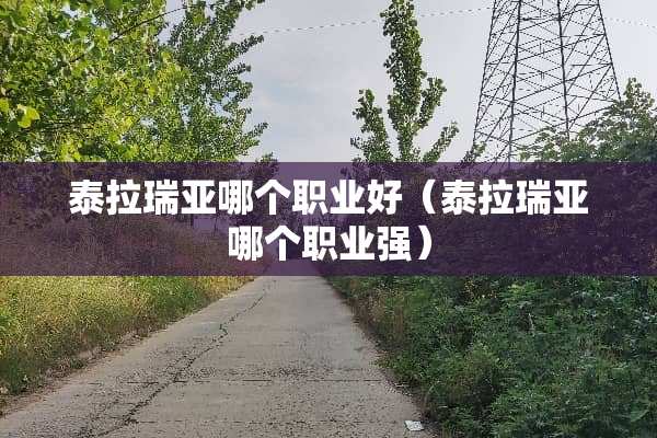 泰拉瑞亚哪个职业好（泰拉瑞亚哪个职业强）