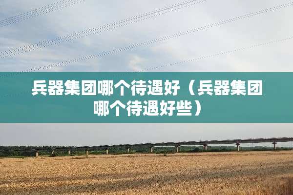 兵器集团哪个待遇好（兵器集团哪个待遇好些）