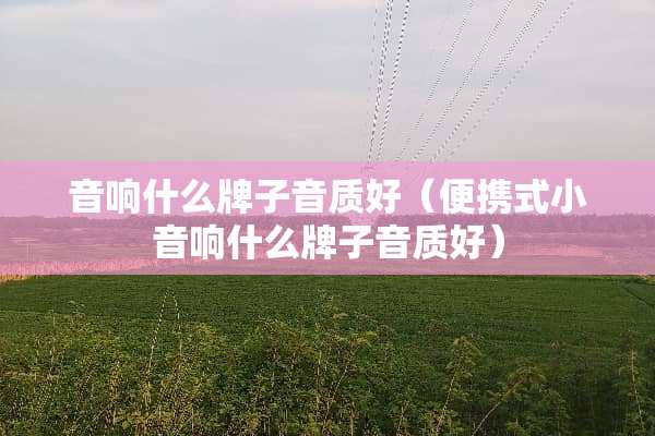 音响什么牌子音质好（便携式小音响什么牌子音质好）