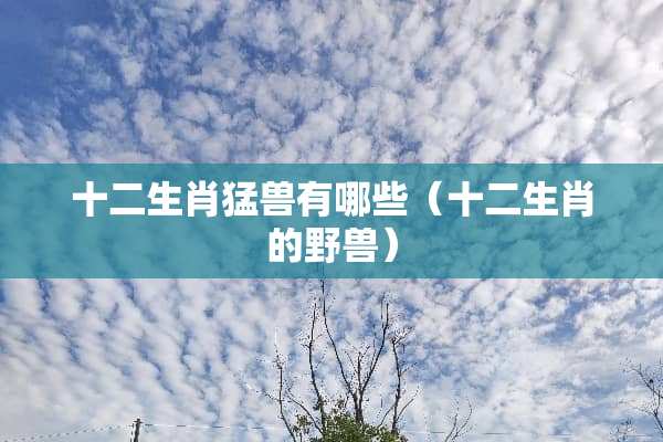 十二生肖猛兽有哪些（十二生肖的野兽）