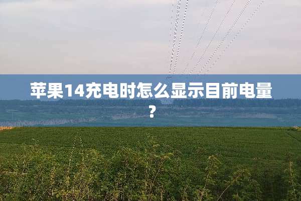 苹果14充电时怎么显示目前电量？
