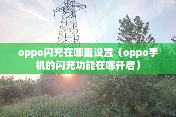 oppo闪充在哪里设置（oppo手机的闪充功能在哪开启）
