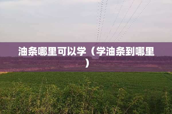 油条哪里可以学（学油条到哪里）