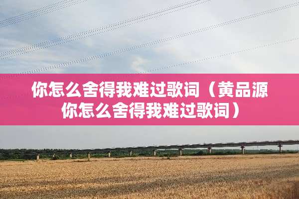 你怎么舍得我难过歌词（黄品源你怎么舍得我难过歌词）