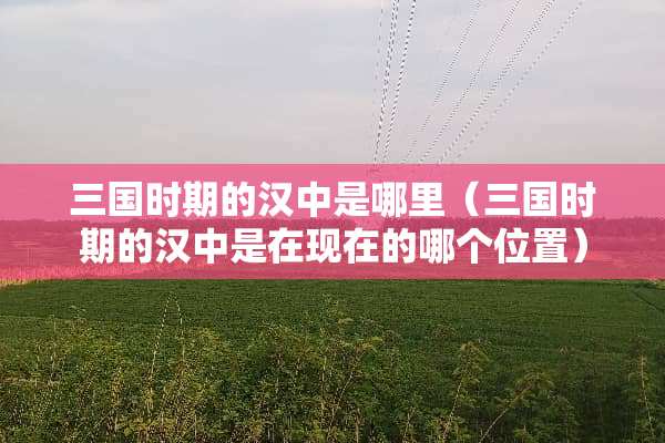 三国时期的汉中是哪里（三国时期的汉中是在现在的哪个位置）